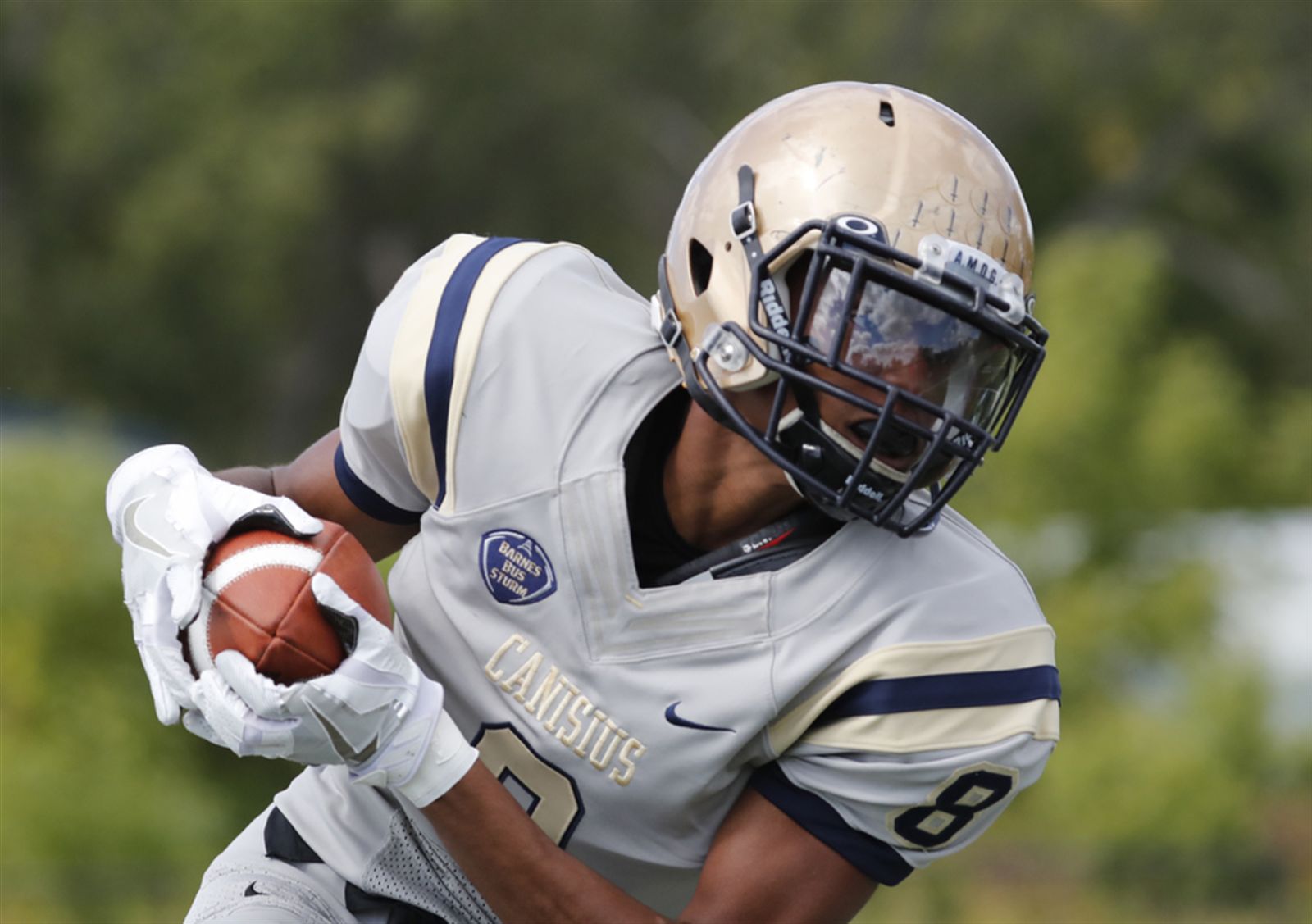 Canisius 55, St. Francis 13